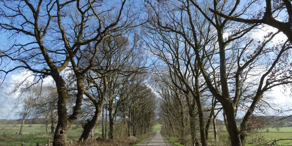Gemeinde Schiffdorf - rund um Wehden